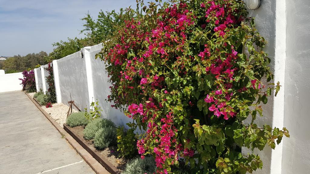 La Posada Del Duende Arcos de la Frontera Dış mekan fotoğraf