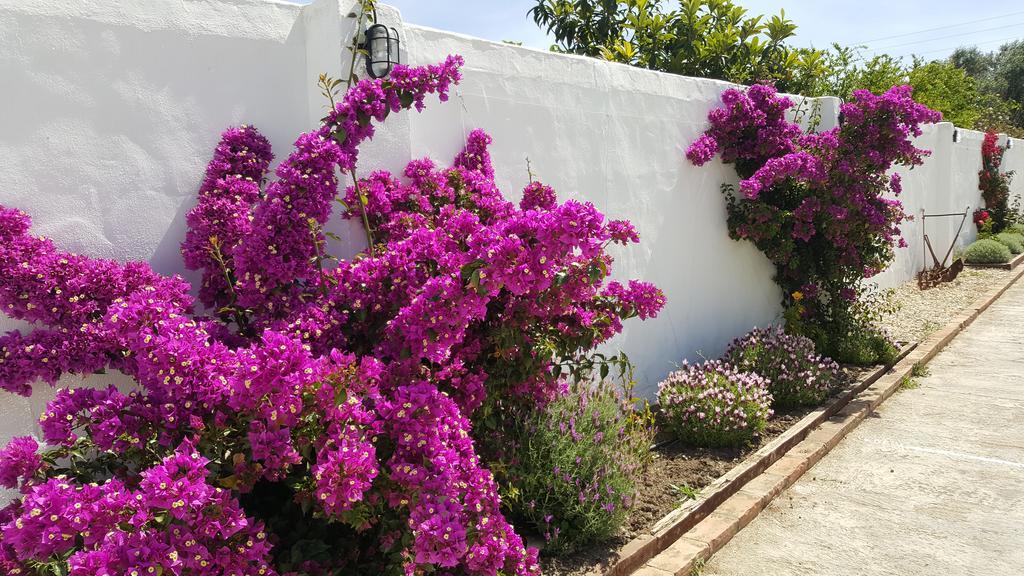 La Posada Del Duende Arcos de la Frontera Dış mekan fotoğraf