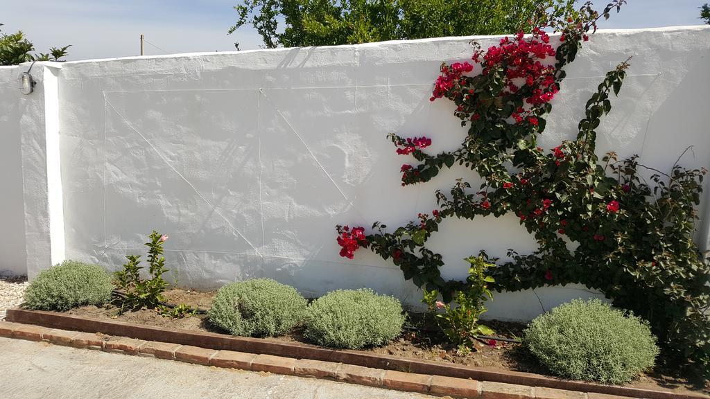 La Posada Del Duende Arcos de la Frontera Dış mekan fotoğraf